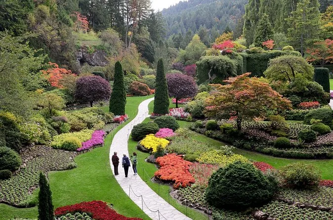 Victoria City and Butchart Gardens Tour