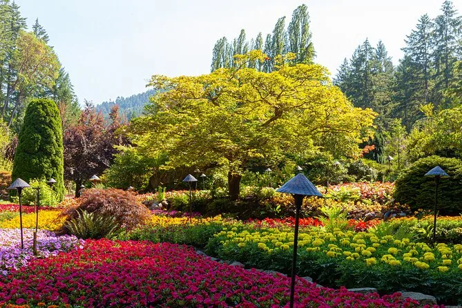 Victoria and Butchart Gardens Full-Day Tour