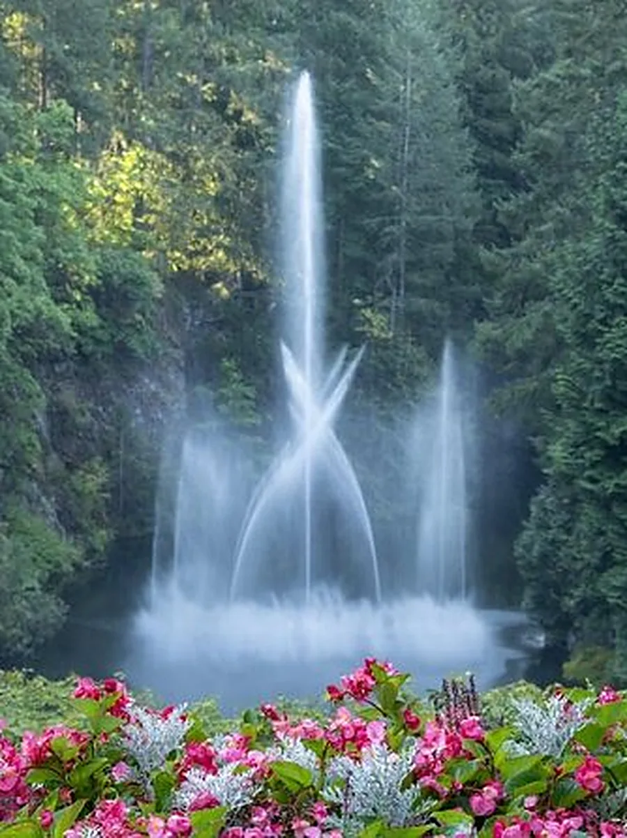 Ivy-covered quarry walls above a winding path and colourful flowerbeds in a sunken garden