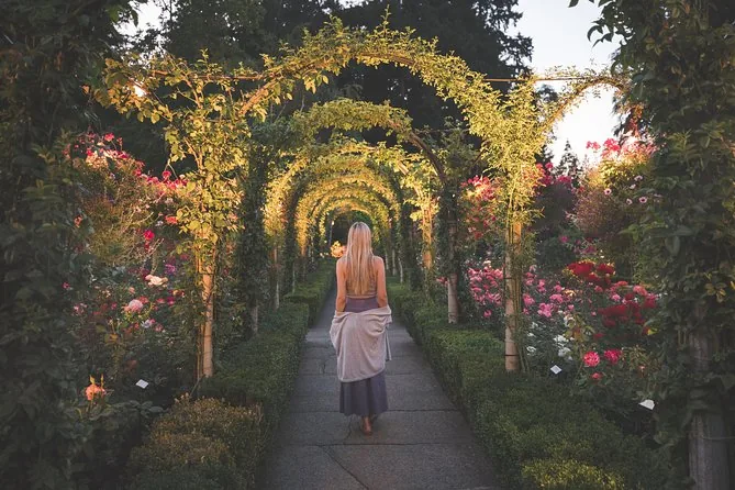 A woman seen from behind walking under arches of climbing roses