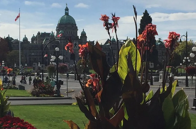 Rote Canna-Blüten vor den Parliament Buildings mit ihrer Kuppel