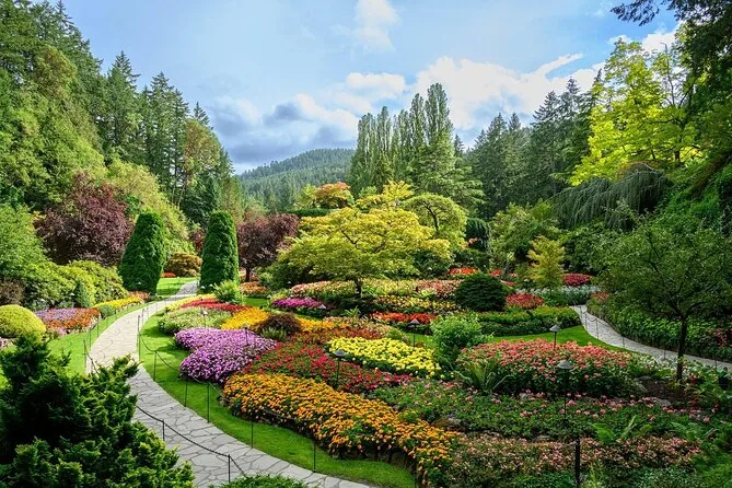 A curving path through colourful beds below tall trees