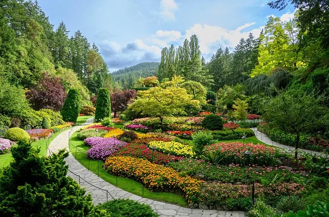 Flowerbeds, clipped shrubs and tall poplars in the Sunken Garden